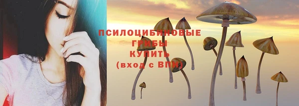 трава Абаза