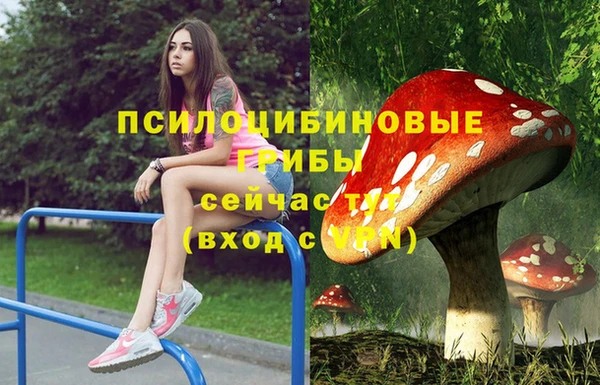 COCAINE Осинники
